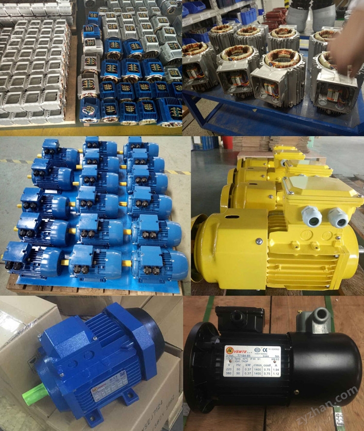 VEMT三相異步電動機