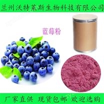 水溶性果粉 提取物  藍(lán)莓速溶粉